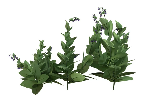 3D rendering virágzó fekete nadálytő növények fehér — Stock Fotó