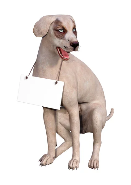 3D vykreslování křížením psa na bílém — Stock fotografie