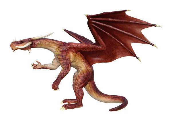 3D Rendering Fairy Tale Dragon on White — Stock Photo, Image