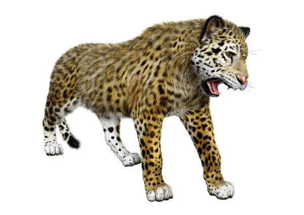 Representación 3D Big Cat Jaguar en blanco — Foto de Stock