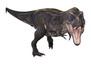 3D render Tyrannosaurus Rex beyaz