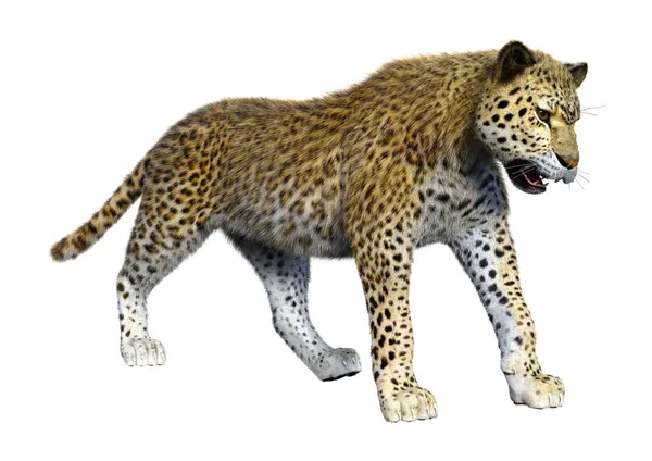 화이트에 3d 렌더링 큰 고양이 표범 — 스톡 사진