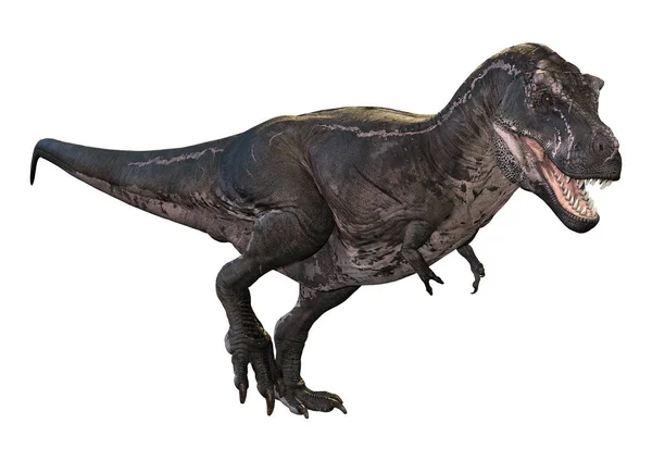 3D rendering Tyrannosaurus Rex-fehér — Stock Fotó