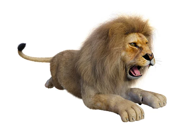 3D rendering manliga lionen på vit — Stockfoto