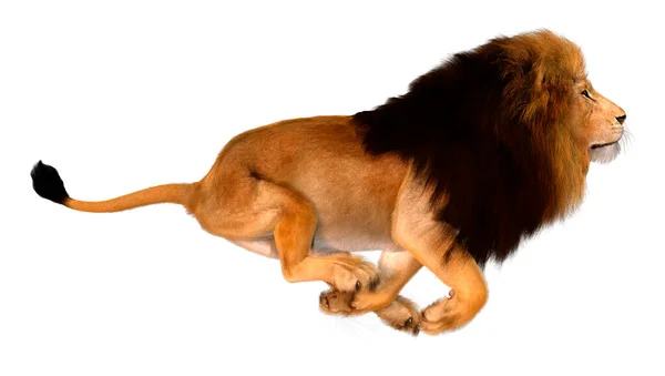 Rendering Male Lion Isolated White Background — Stock Photo, Image