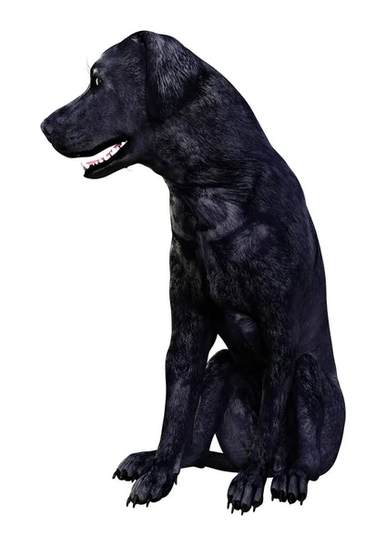 Vykreslování Černého Psa Labradora Izolovaných Bílém Pozadí — Stock fotografie