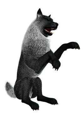 Beyaz arkaplanda izole edilmiş bir siyah kurdun 3D görüntüsü