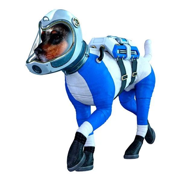 Рендеринг Собаки Космонавта Белом Фоне — стоковое фото