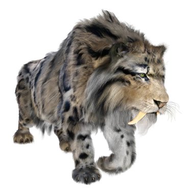 Kılıç dişli kaplanın 3 boyutlu görüntüsü beyaz arkaplanda izole edilmiş.