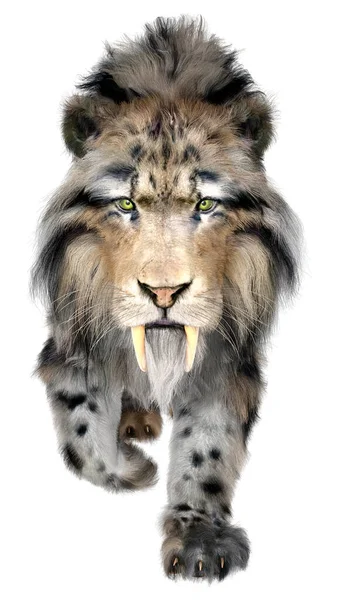 Kılıç dişli kaplanın 3 boyutlu görüntüsü beyaz arkaplanda izole edilmiş.