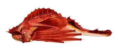 Beyaz arka planda izole edilmiş bir fantezi ejderhanın 3 boyutlu canlandırması