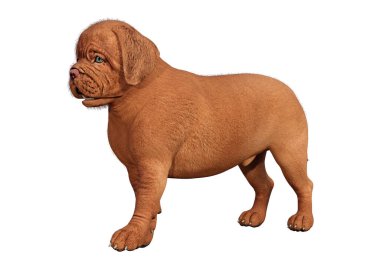 Beyaz arka planda izole sevimli bir köpek yavrusu 3D render