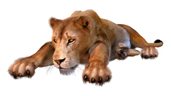 Rendering Female Lion Isolated White Background — Stock Photo, Image