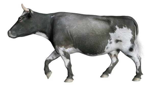 Rendering Una Mucca Animale Fattoria Isolata Sfondo Bianco — Foto Stock