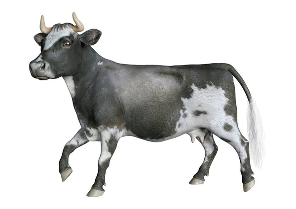Representación Una Vaca Animal Granja Aislada Sobre Fondo Blanco — Foto de Stock