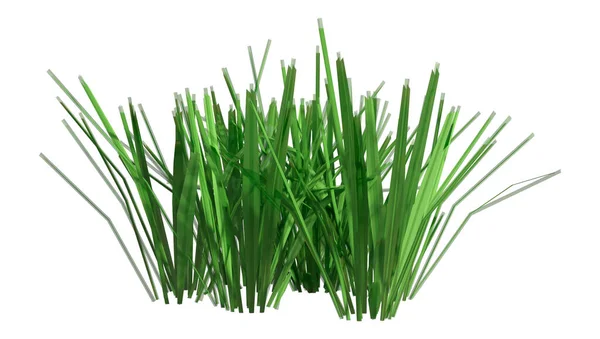 Weergave Van Een Patch Van Groen Gras Geïsoleerd Witte Achtergrond — Stockfoto