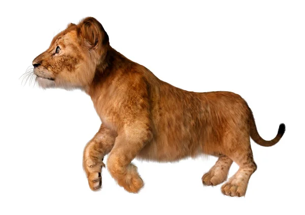 Weergave Van Een Schattig Leeuwenwelpje Geïsoleerd Witte Achtergrond — Stockfoto