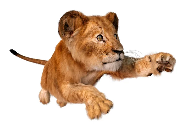 Darstellung Eines Niedlichen Löwenjungen Isoliert Auf Weißem Hintergrund — Stockfoto