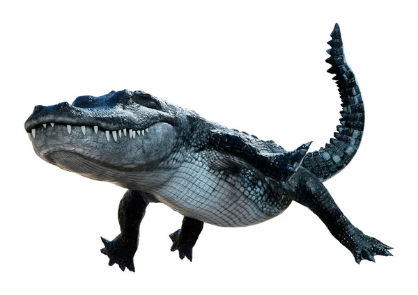Rendering Black Alligator Isolated White Background — Stock Photo, Image