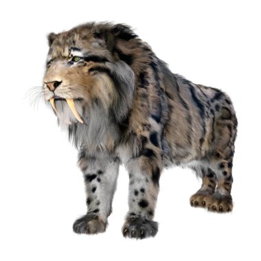 Kılıç dişli kaplanın 3 boyutlu görüntüsü beyaz arkaplanda izole edilmiş.