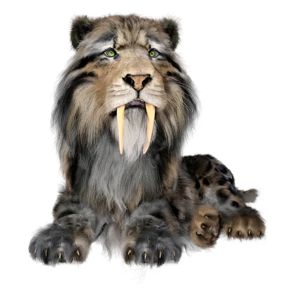 Rendering Sabertooth Tiger Isolated White Background — Stock Photo, Image