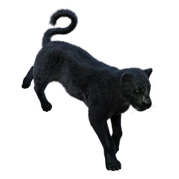 白い背景に隔離された大きな猫の黒いパンサーの3Dレンダリング — ストック写真