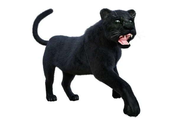 Representación Una Pantera Negra Gato Grande Aislada Sobre Fondo Blanco —  Fotos de Stock
