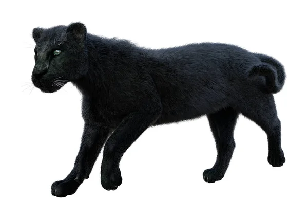 Απόδοση Ενός Μεγάλου Μαύρου Πάνθηρα Γάτα Απομονώνονται Λευκό Φόντο — Φωτογραφία Αρχείου