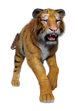 Beyaz arka planda izole edilmiş büyük bir kedi kaplanının 3 boyutlu görüntüsü