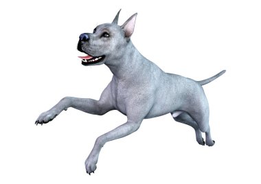 Beyaz arka plan üzerinde izole mavi bir Danua köpek 3D render