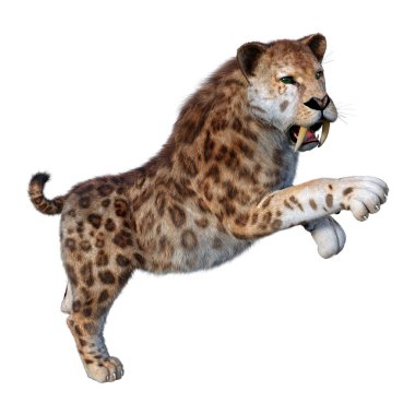 Kılıç dişli kaplanın 3 boyutlu görüntüsü beyaz arkaplanda izole edilmiş.