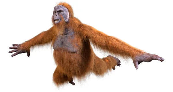 Rendering Eines Orang Utans Isoliert Auf Weißem Hintergrund — Stockfoto