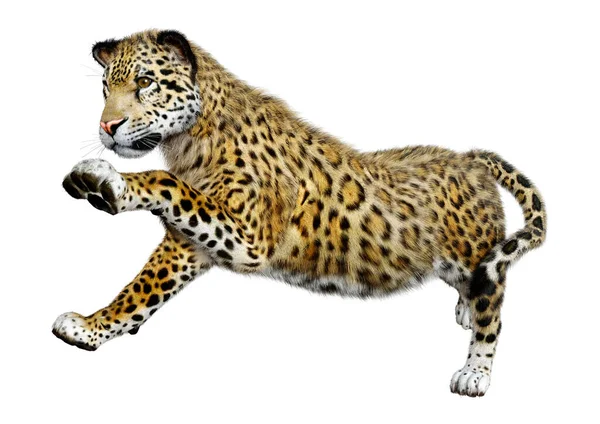 Rendering Big Cat Jaguar Isolated White Background — Stock Photo, Image