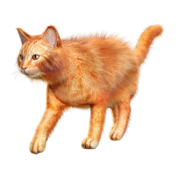 Rendering ของแมวส แดงแยกก นบนพ นหล ขาว — ภาพถ่ายสต็อก