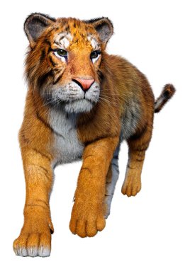 Beyaz arka planda izole edilmiş büyük bir kedi kaplanının 3 boyutlu görüntüsü