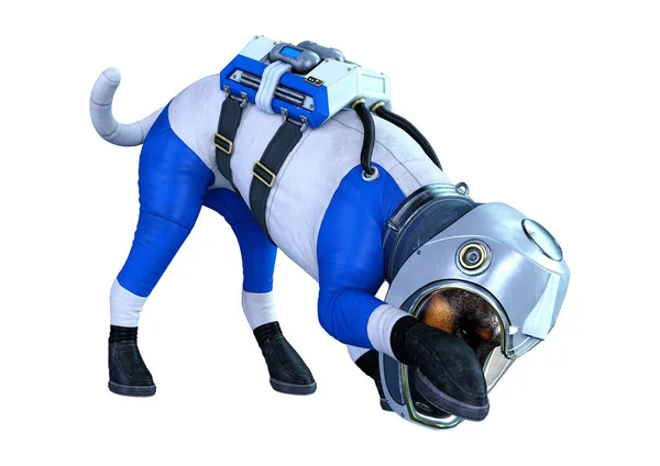 Återgivning Astronaut Hund Isolerad Vit Bakgrund — Stockfoto