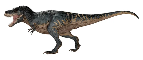 Vykreslení Dinosaura Tyrannosaura Rexe Izolovaného Bílém Pozadí — Stock fotografie