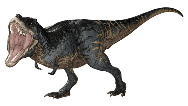 Рендеринг Динозавра Тираннозавра Рекса Белом Фоне — стоковое фото