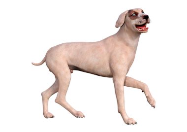 Beyaz arka planda izole edilmiş melez bir köpeğin 3 boyutlu canlandırması