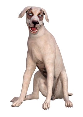 Beyaz arka planda izole edilmiş melez bir köpeğin 3 boyutlu canlandırması