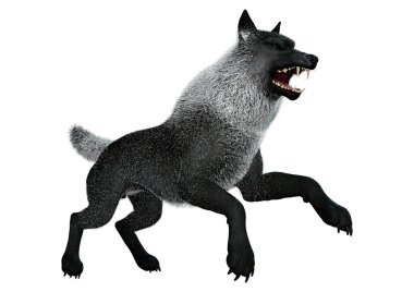 Beyaz arkaplanda izole edilmiş bir siyah kurdun 3D görüntüsü