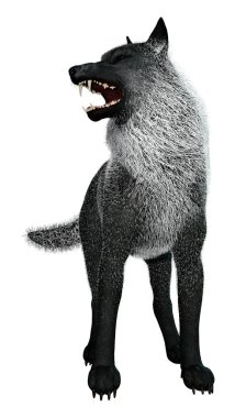 Beyaz arkaplanda izole edilmiş bir siyah kurdun 3D görüntüsü