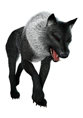 Beyaz arkaplanda izole edilmiş bir siyah kurdun 3D görüntüsü