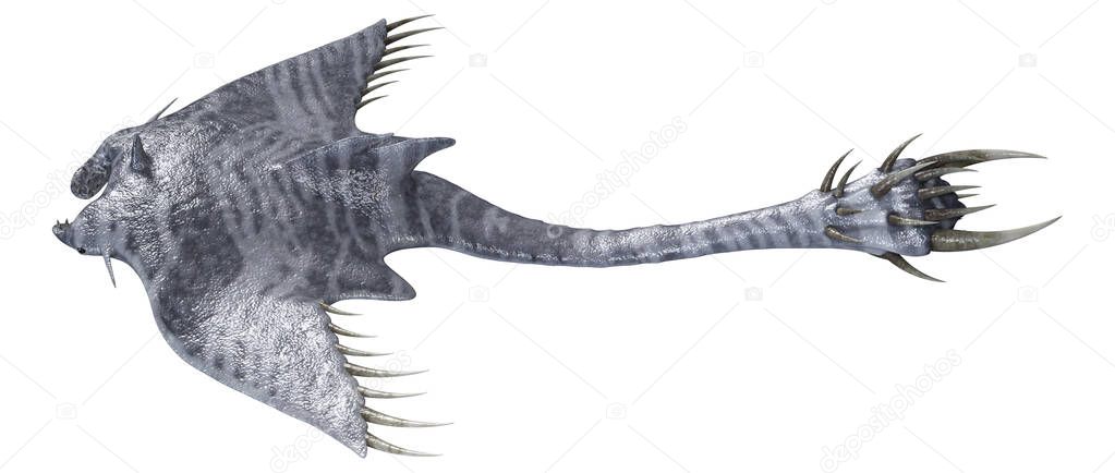 3D rendering of a devil ray isolated on white background