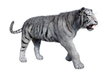 Beyaz arka planda izole edilmiş üç boyutlu beyaz kaplan görüntüsü