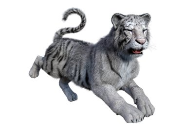 Beyaz arka planda izole edilmiş üç boyutlu beyaz kaplan görüntüsü