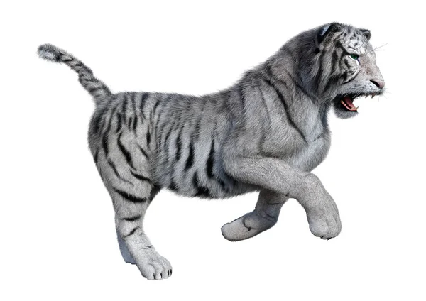 Darstellung Eines Weißen Tigers Isoliert Auf Weißem Hintergrund — Stockfoto