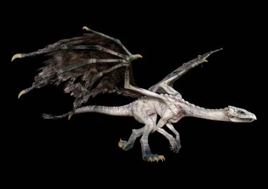 Siyah arka planda izole edilmiş bir fantezi ejderhanın 3 boyutlu canlandırması