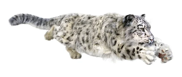 Renderização Grande Leopardo Neve Gato Isolado Fundo Branco — Fotografia de Stock