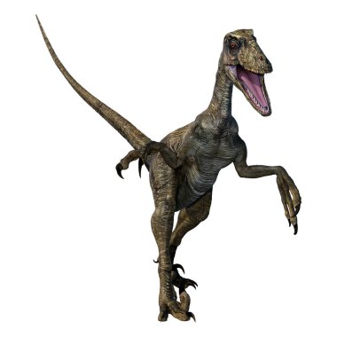 Beyaz arka planda izole edilmiş bir dinozor Deinonychus Antirrhopus 'un 3 boyutlu canlandırması